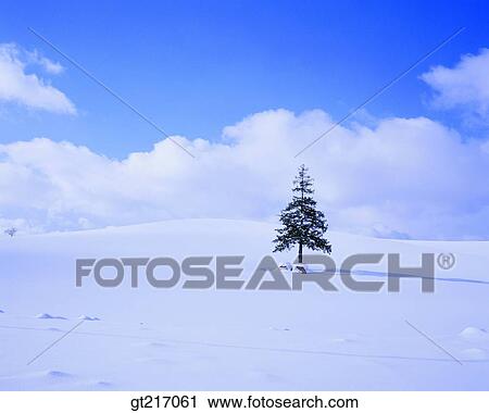 nature, landscape, scenery, scene, snowfield, snowscape, winter View Large Photo Image Stock Image - nature, landscape, scenery, scene, snowfield, snowscape, winter. Fotosearch