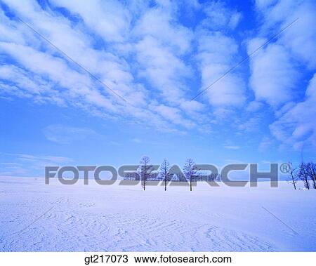 nature, landscape, scenery, scene, snowfield, snowscape, tree View Large Photo Image Stock Image - nature, landscape, scenery, scene, snowfield, snowscape, tree. Fotosearch