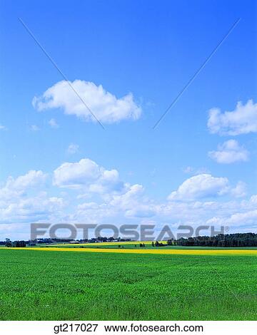 nature, landscape, scenery, scene, plain, field, grass View Large Photo Image Stock Photo - nature, landscape, scenery, scene, plain, field, grass. Fotosearch