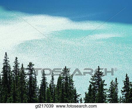 nature, landscape, scenery, scene, lake, tree, outdoor View Large Photo Image Stock Photo - nature, landscape, scenery, scene, lake, tree, outdoor. Fotosearch