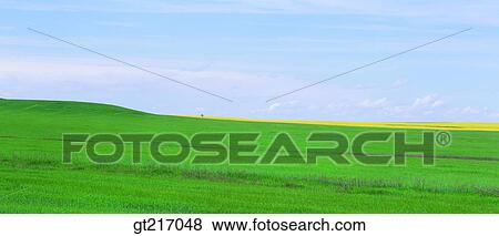 nature, landscape, scenery, scene, plain, field, grass View Large Photo Image Stock Photo - nature, landscape, scenery, scene, plain, field, grass. Fotosearch