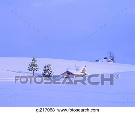 nature, landscape, scenery, scene, snowfield, tree, one View Large Photo Image Stock Photo - nature, landscape, scenery, scene, snowfield, tree, one. Fotosearch