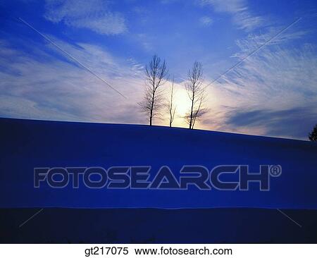 nature, landscape, scenery, scene, snowfield, tree, sundown View Large Photo Image Stock Photography - nature, landscape, scenery, scene, snowfield, tree, sundown. Fotosearch