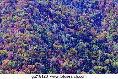 exterior, day, daytime, daylight, fall, autumn, mountain View Large Photo Image Stock Image - exterior, day, daytime, daylight, fall, autumn, mountain. Fotosearch