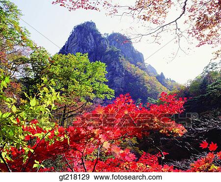 Stock Photo - exterior, day, daytime, daylight, fall, autumn, mountain. Fotosearch
