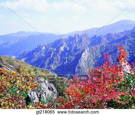 exterior, day, daytime, daylight, fall, autumn, mountain View Large Photo Image Stock Photography - exterior, day, daytime, daylight, fall, autumn, mountain. Fotosearch