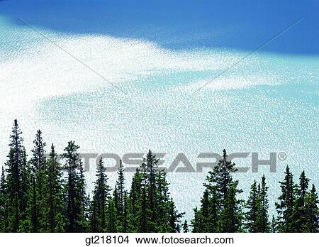 Picture - exterior, day, daytime, daylight, lake, tree, snow. Fotosearch