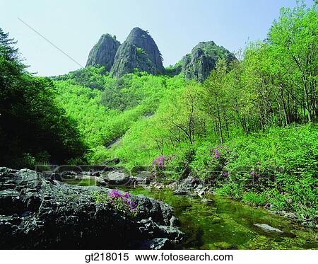 Stock Photography - exterior, day, daytime, daylight, Mai mountain, Jinan, peak. Fotosearch