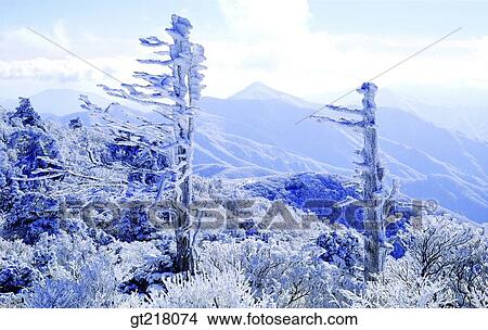 Picture - exterior, day, daytime, daylight, winter, mountain, winter mountain. Fotosearch