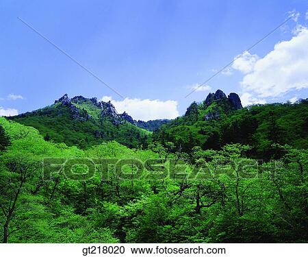 exterior, day, daytime, daylight, mountain, summerforest, trees View Large Photo Image Stock Image - exterior, day, daytime, daylight, mountain, summerforest, trees. Fotosearch