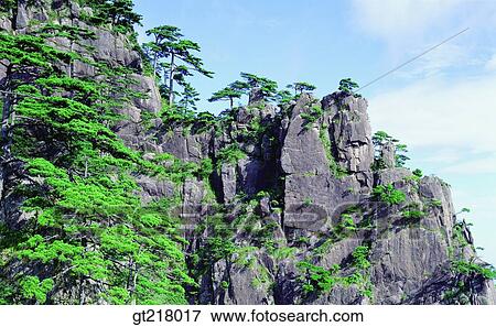 exterior, day, daytime, daylight, mountain, rock mountain, tree View Large Photo Image Stock Photo - exterior, day, daytime, daylight, mountain, rock mountain, tree. Fotosearch