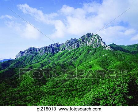 exterior, day, daytime, daylight, mountain, summer, fresh green View Large Photo Image Stock Photo - exterior, day, daytime, daylight, mountain, summer, fresh green. Fotosearch