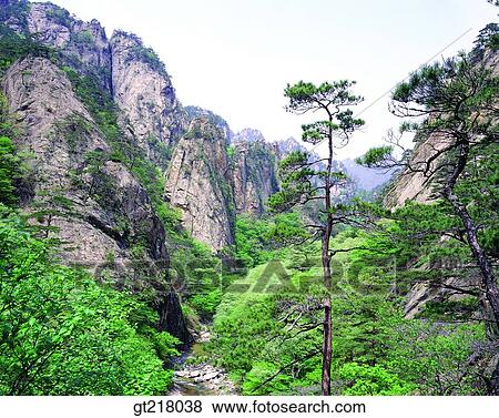 exterior, day, daytime, daylight, mountain, spring, fresh green View Large Photo Image Stock Photo - exterior, day, daytime, daylight, mountain, spring, fresh green. Fotosearch