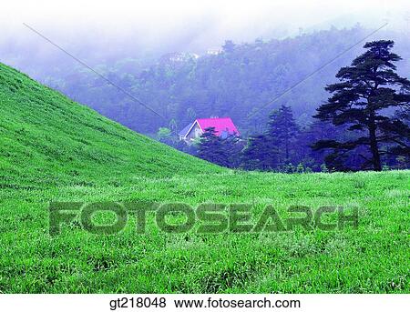 exterior, day, daytime, daylight, villa, country house, lawn View Large Photo Image Stock Photo - exterior, day, daytime, daylight, villa, country house, lawn. Fotosearch