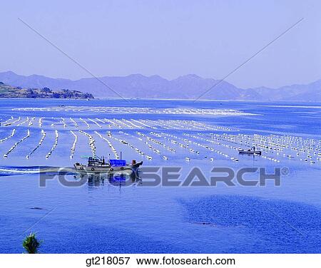 Stock Photo - exterior, day, daytime, daylight, nursery, farm, breeding ground. Fotosearch