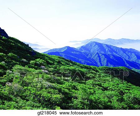 exterior, day, daytime, daylight, mountain, summer, ridge View Large Photo Image Stock Photography - exterior, day, daytime, daylight, mountain, summer, ridge. Fotosearch