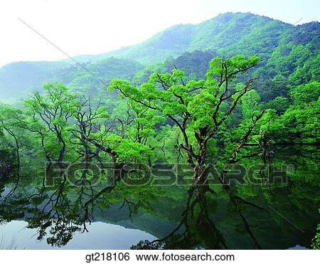 exterior, day, daytime, daylight, tree, lake, mountain View Large Photo Image Stock Photograph - exterior, day, daytime, daylight, tree, lake, mountain. Fotosearch