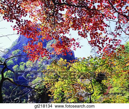 nature, landscape, scene, scenery, exterior, day, daytime View Large Photo Image Picture - nature, landscape, scene, scenery, exterior, day, daytime. Fotosearch