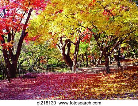 Stock Image - nature, landscape, scene, scenery, exterior, day, daytime. Fotosearch