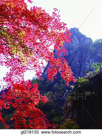 nature, landscape, scene, scenery, exterior, day, daytime View Large Photo Image Stock Image - nature, landscape, scene, scenery, exterior, day, daytime. Fotosearch