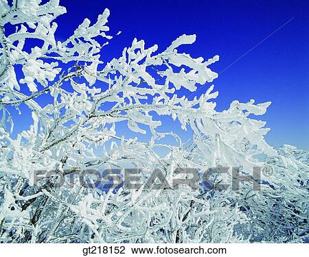 Stock Image - nature, landscape, scene, scenery, exterior, day, daytime. Fotosearch