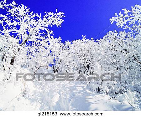 nature, landscape, scene, scenery, exterior, day, daytime View Large Photo Image Stock Image - nature, landscape, scene, scenery, exterior, day, daytime. Fotosearch