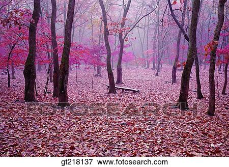 Stock Photo - nature, landscape, scene, scenery, exterior, day, daytime. Fotosearch