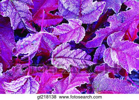 nature, landscape, scene, scenery, exterior, day, daytime View Large Photo Image Stock Photo - nature, landscape, scene, scenery, exterior, day, daytime. Fotosearch