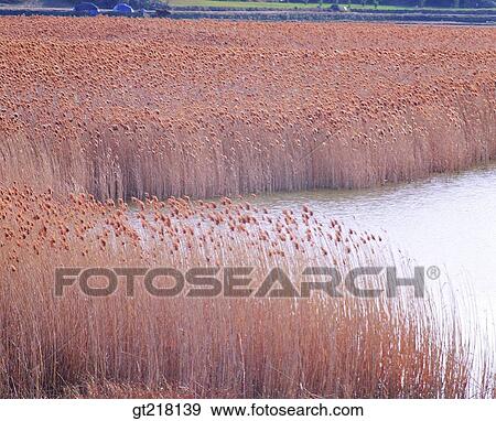 nature, landscape, scene, scenery, exterior, day, daytime View Large Photo Image Stock Photo - nature, landscape, scene, scenery, exterior, day, daytime. Fotosearch