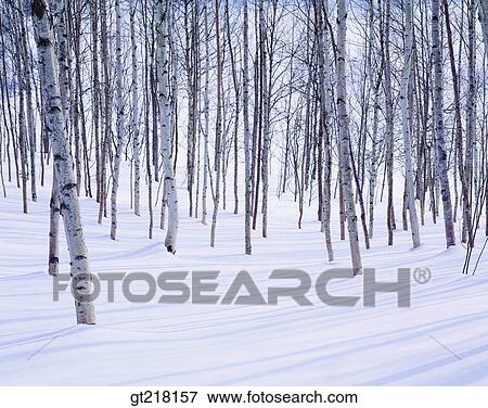 nature, landscape, scene, scenery, exterior, day, daytime View Large Photo Image Stock Photo - nature, landscape, scene, scenery, exterior, day, daytime. Fotosearch
