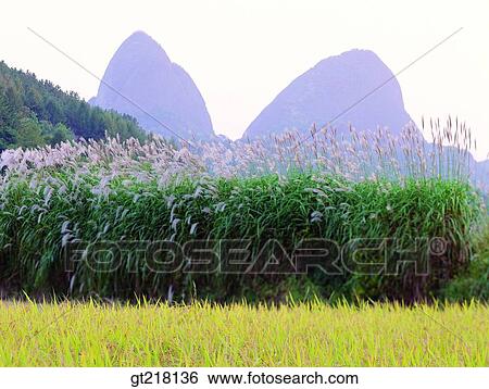 Stock Photograph - nature, landscape, scene, scenery, exterior, day, daytime. Fotosearch