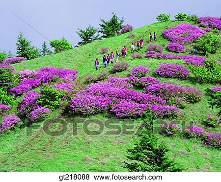 person, exterior, day, daytime, daylight, mountain, spring View Large Photo Image Stock Photo - person, exterior, day, daytime, daylight, mountain, spring. Fotosearch