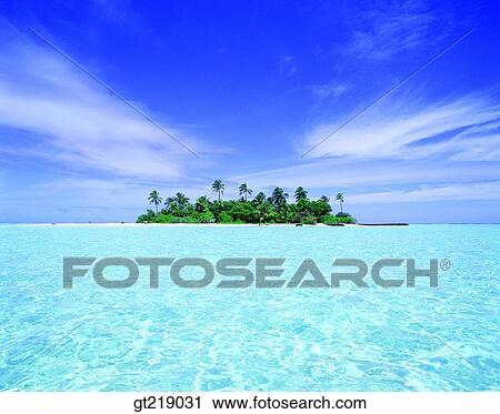 island, isle, coconut palm, coconut tree, coconut, sea, sky View Large Photo Image Stock Image - island, isle, coconut palm, coconut tree, coconut, sea, sky. Fotosearch
