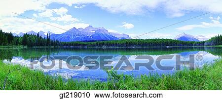 Stock Image - lake, mountain, grove, weed, forest, trees, grass. Fotosearch