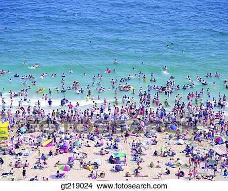 Picture - swimming beach, bathing resort, watering place, summer, sea, company, party. Fotosearch