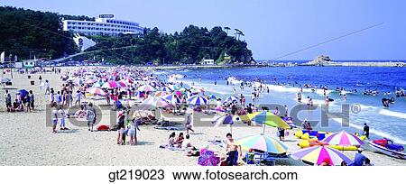 Stock Image - swimming beach, bathing resort, watering place, summer, sea, company, party. Fotosearch