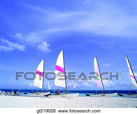 Stock Photo - wind surfing, surfing, sea, sky, cloud, clouds, beach. Fotosearch