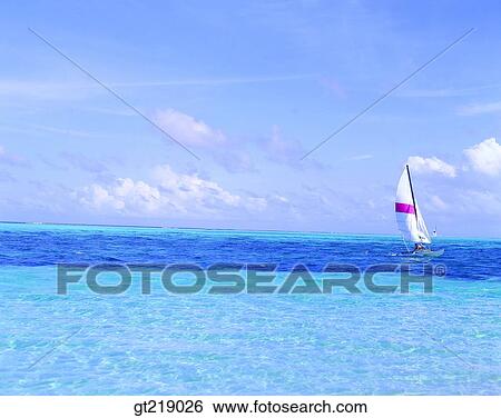 wind surfing, surfing, sea, sky, cloud, clouds, people View Large Photo Image Stock Photograph - wind surfing, surfing, sea, sky, cloud, clouds, people. Fotosearch