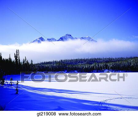 wintermountain, snowscape, snow, snowfield, forest, trees, shadow View Large Photo Image Stock Photo - wintermountain, snowscape, snow, snowfield, forest, trees, shadow. Fotosearch