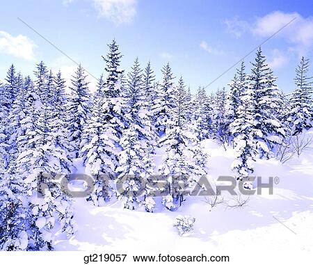 wintermountain, winter, mountain, snowscape, snow, Canada, outdoor View Large Photo Image Stock Photo - wintermountain, winter, mountain, snowscape, snow, Canada, outdoor. Fotosearch