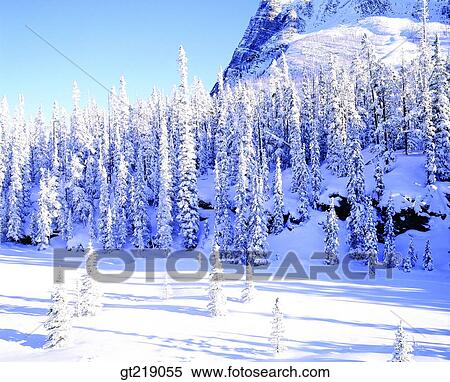 Stock Photography - wintermountain, winter, mountain, snowscape, snow, Canada, outdoor. Fotosearch
