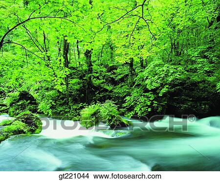 outdoor, exterior, day, daytime, daylight, nature, scene View Large Photo Image Picture - outdoor, exterior, day, daytime, daylight, nature, scene. Fotosearch