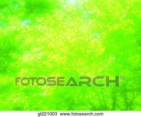 outdoor, exterior, day, daytime, daylight, tree, sunlight View Large Photo Image Stock Image - outdoor, exterior, day, daytime, daylight, tree, sunlight. Fotosearch