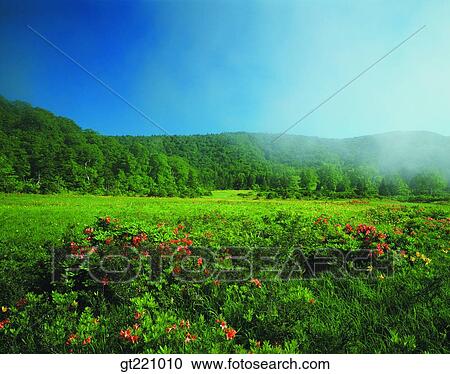 outdoor, exterior, day, daytime, daylight, nature, scene View Large Photo Image Stock Image - outdoor, exterior, day, daytime, daylight, nature, scene. Fotosearch