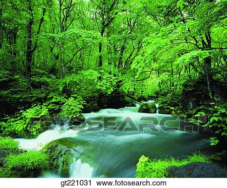 Stock Image - outdoor, exterior, day, daytime, daylight, nature, scene. Fotosearch