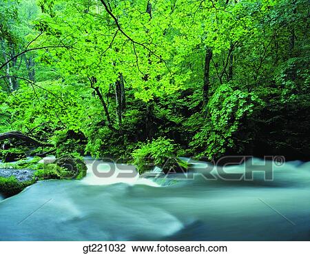 outdoor, exterior, day, daytime, daylight, nature, scene View Large Photo Image Stock Image - outdoor, exterior, day, daytime, daylight, nature, scene. Fotosearch