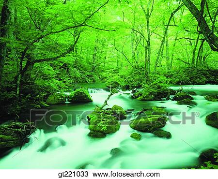 outdoor, exterior, day, daytime, daylight, nature, scene View Large Photo Image Stock Image - outdoor, exterior, day, daytime, daylight, nature, scene. Fotosearch