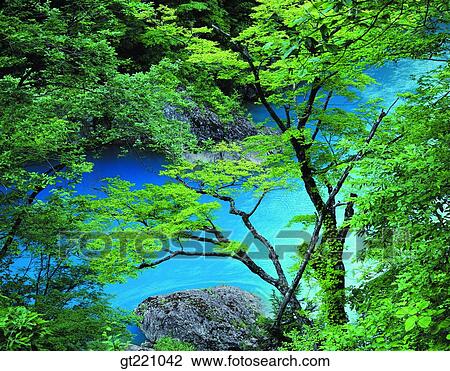 Stock Image - outdoor, exterior, day, daytime, daylight, nature, scene. Fotosearch