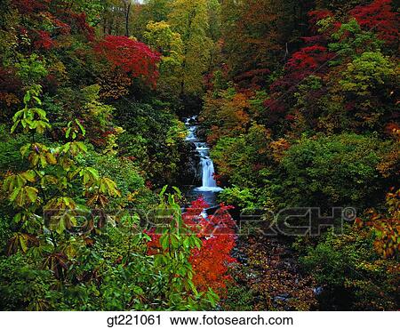outdoor, exterior, day, daytime, daylight, forest, trees View Large Photo Image Stock Image - outdoor, exterior, day, daytime, daylight, forest, trees. Fotosearch