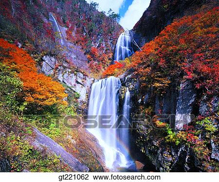 outdoor, exterior, day, daytime, daylight, forest, trees View Large Photo Image Stock Image - outdoor, exterior, day, daytime, daylight, forest, trees. Fotosearch